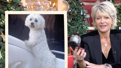 Sophie Davant émue en revoyant une photo de sa chienne disparue