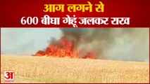 मैनपुरी में 600 बीघा गेहूं की फसल जली, बर्बादी देख फूट-फूटकर रोए किसान, आग में जल गए 22 परिवारों के अरमान