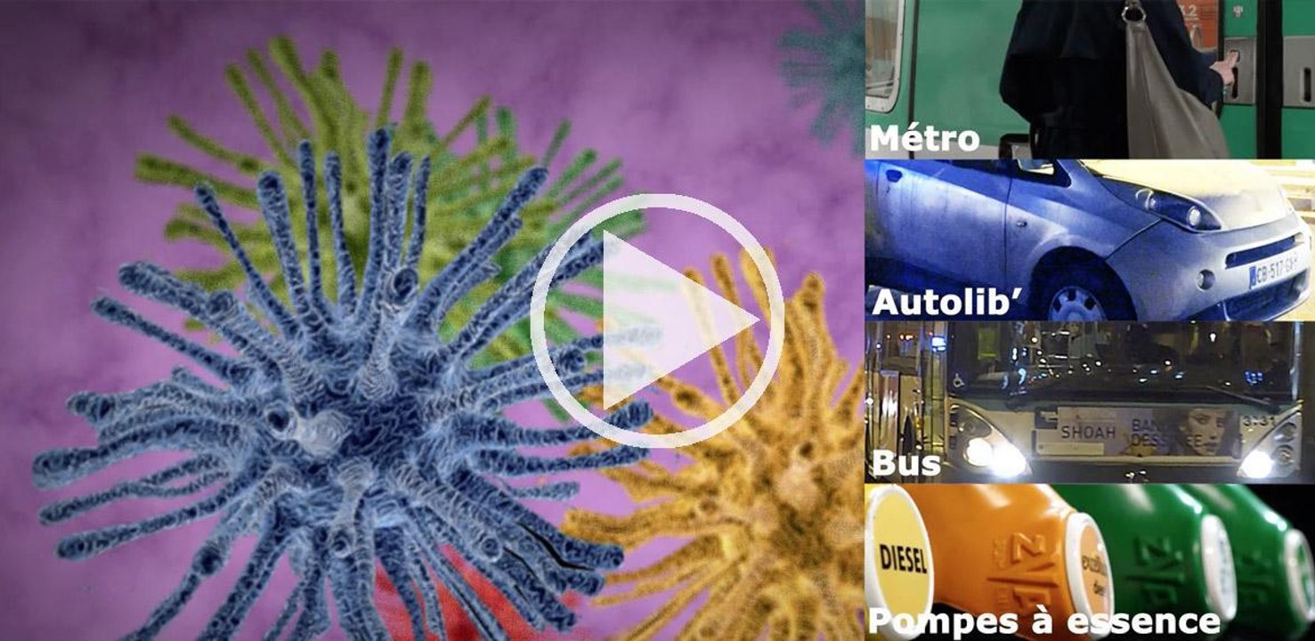 microbes transports C307