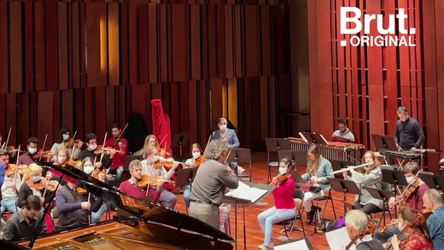 Cet orchestre réinterprète le Carnaval des animaux en version pour adultes