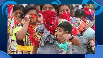 HablemosTV: Importancia De Las Lenguas Indígenas - 01 febrero 2022