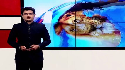 ગુજરાત-દિલ્હી વચ્ચે ચાલે છે વાકયુદ્ધ