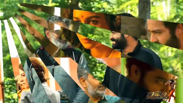 RRR Box Office Collection, RRR 13th Day Collection, Ntr, Ramcharan,Ajay D,Alia B, SS Rajamauli, #rrr