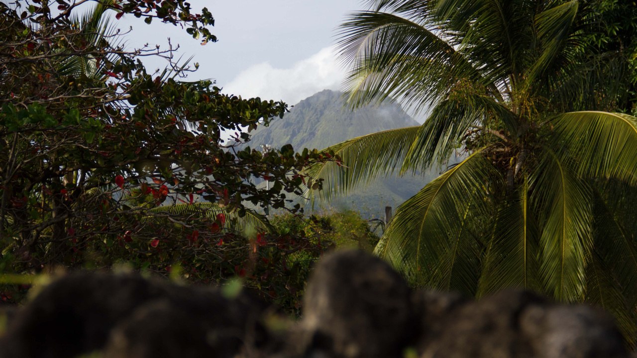 Martinique : à Saint-Pierre, sur les traces de l’éruption de la montagne Pelée [GEO 360°]