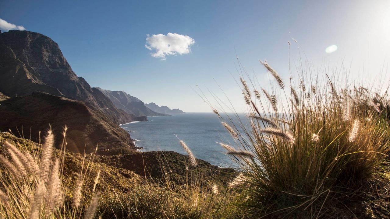 Les Canaries d'île en île [GEO]