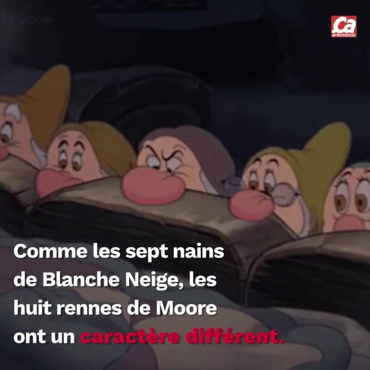 CAM Quels sont les noms des rennes du Père Noël ? Vidéo Dailymotion