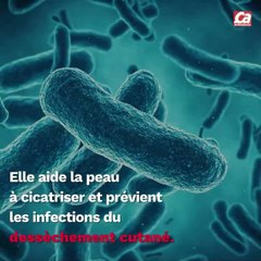 CAM - Tout savoir sur l'huile d'amande douce.