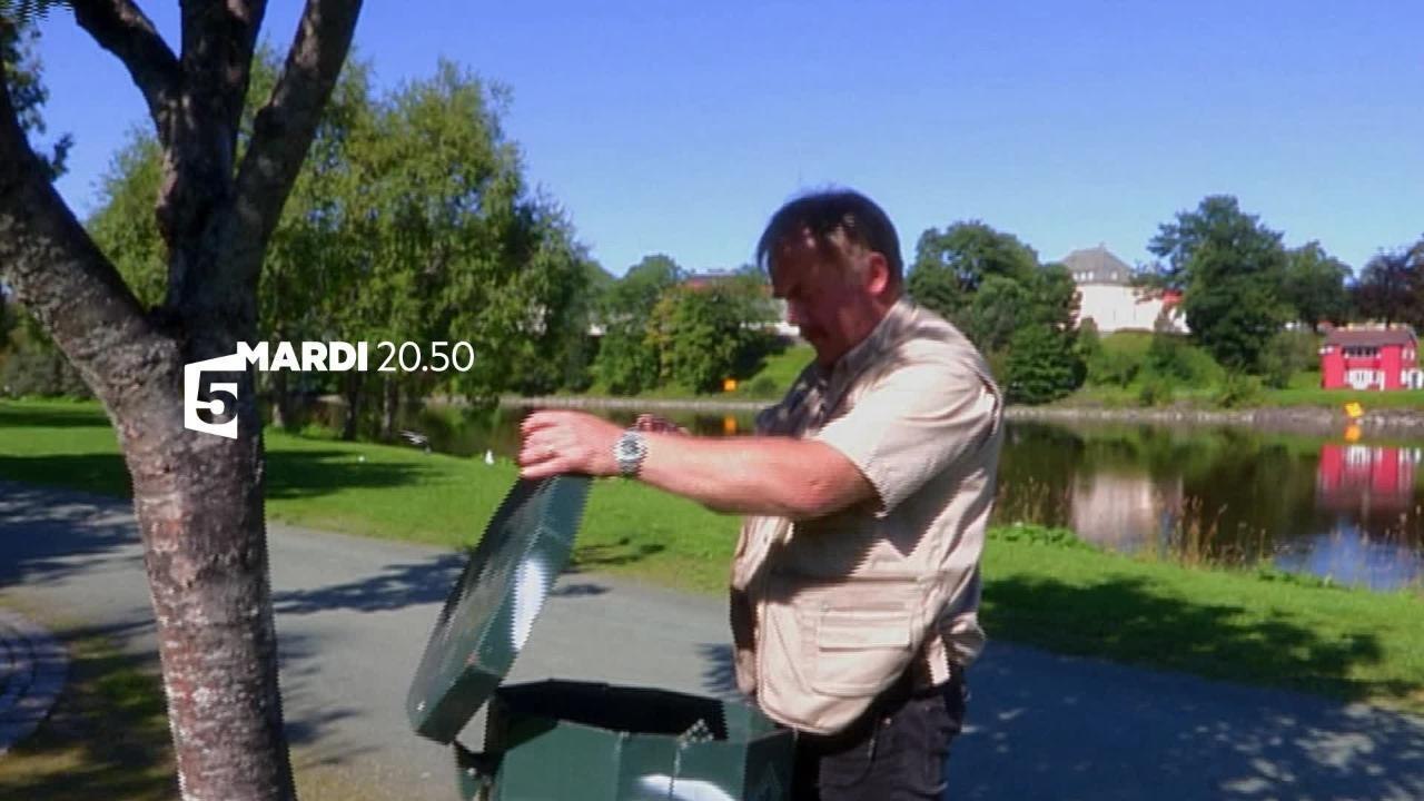 Manger sain : info ou intox ?