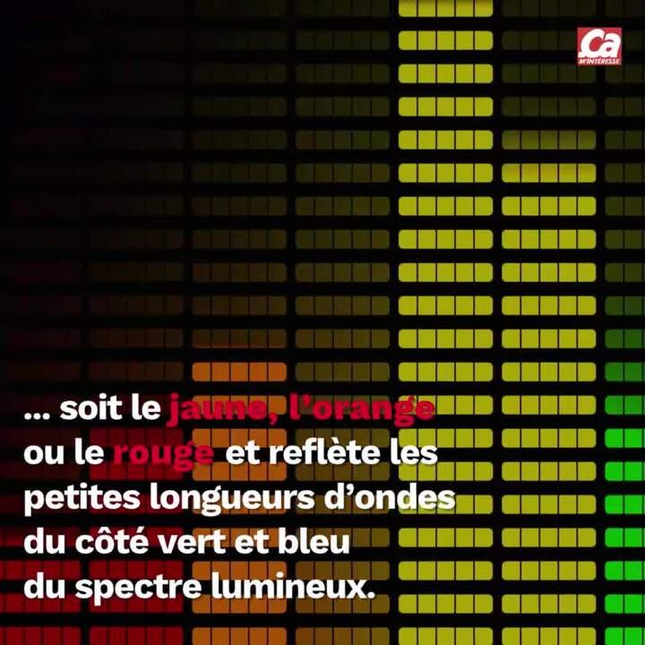 CAM - Pourquoi l’eau est bleue ?