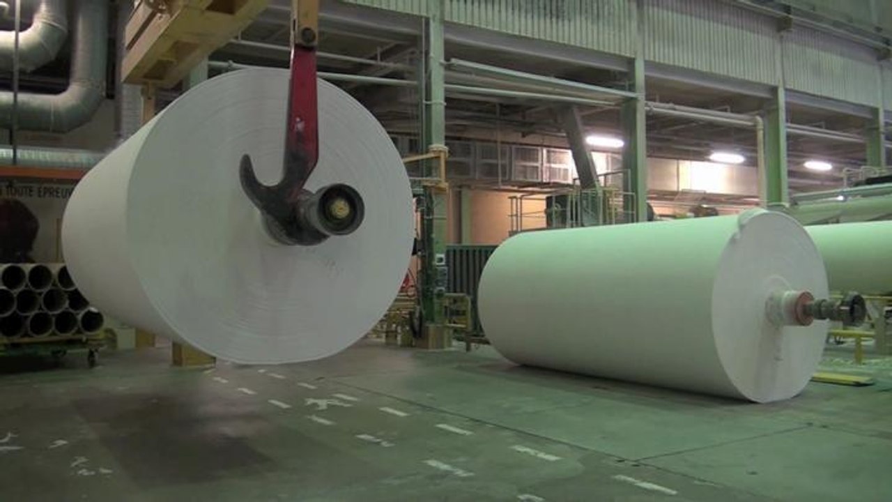 Dans les coulisses de l'usine de Lotus, le roi du papier toilette (Capital)