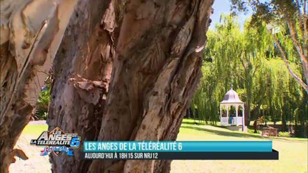 Les Anges 6 - Les doutes de Thibault