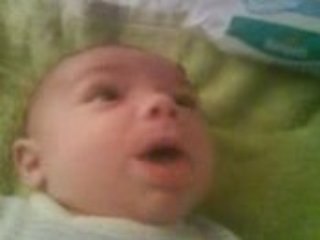 Discussion avec mes lapins