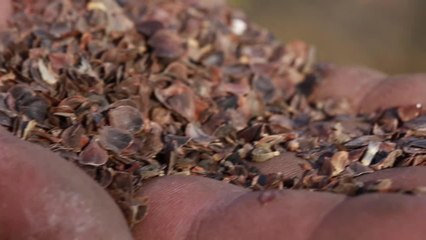 Les bons gestes d'avril à avoir dans son jardin