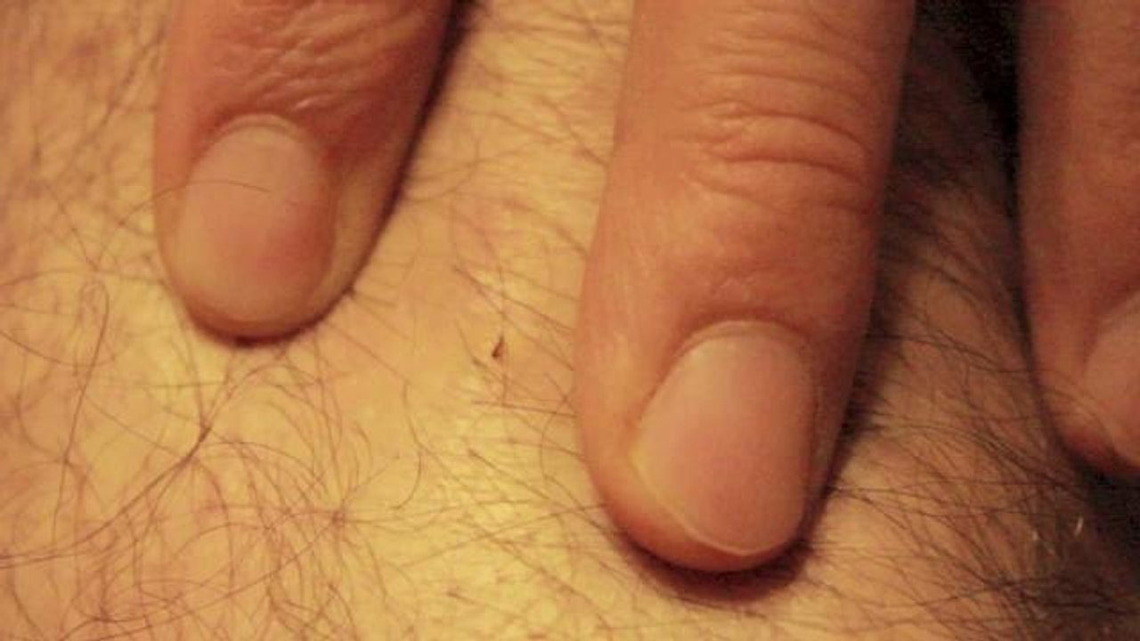 Comment enlever une tique ?
