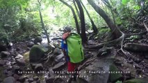 Aventure sur l'île sauvage d'Iriomote, au Japon [GEO]