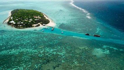 Heron Island, un bout de paradis sur la Grande Barrière de corail [GEO]