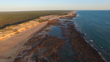 Une découverte sans précédent dans le "Jurassic Park" australien