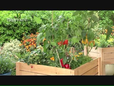 Comment cultiver un potager hors sol ?