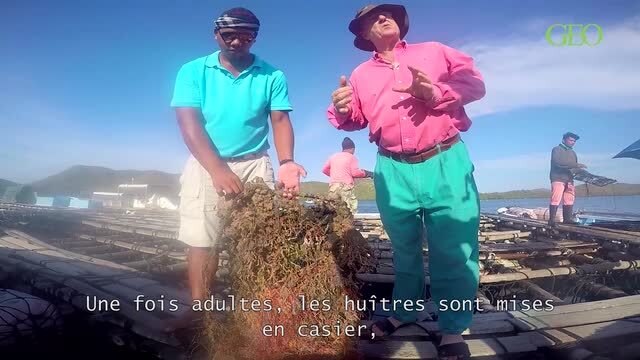 Palawan : le filon des perles dorées [GEO]