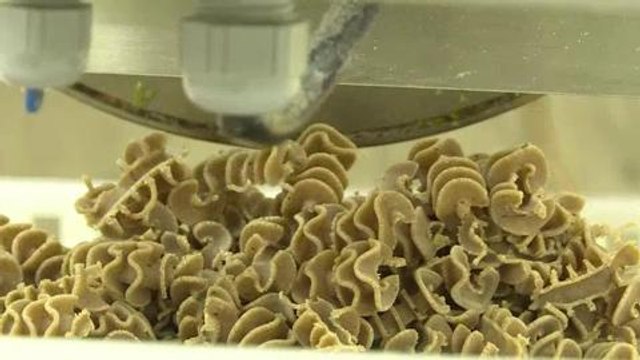 Des pâtes aux insectes en plein coeur des Vosges