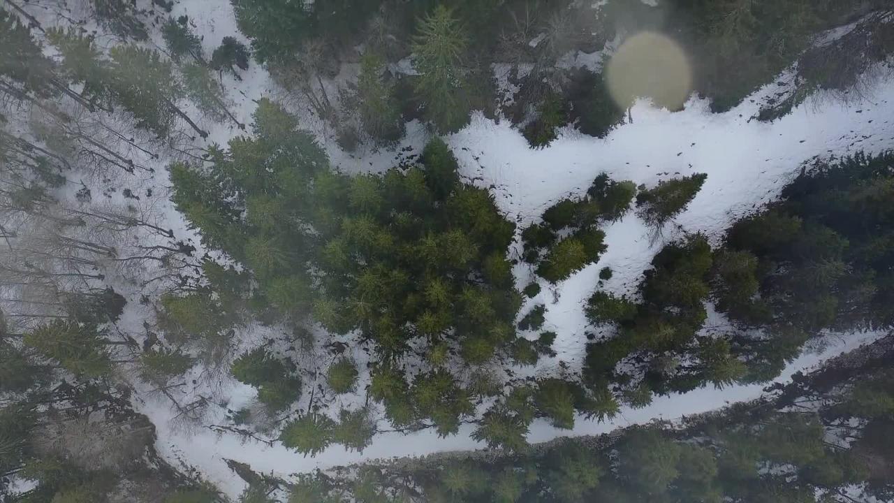 Sur les sentiers du JURA