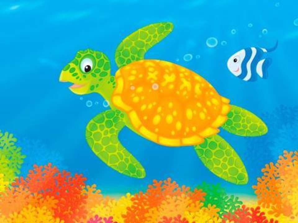 Activités pour enfants : réaliser une tortue de mer en 3D