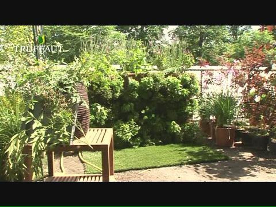 Comment créer un mur végétal aromatique sur son...