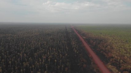 Incendies en Bolivie: Morales également sous le feu des critiques