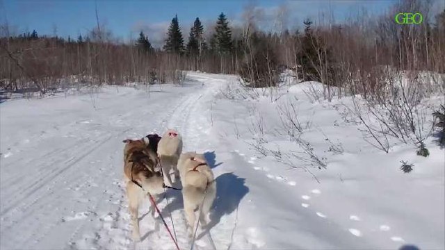 Six bonnes raisons d'aller au Québec en hiver [GEO]