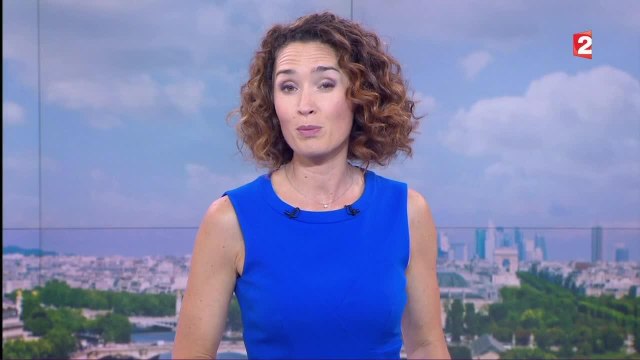 Marie-Sophie Lacarrau : son message de soutien à David Pujadas, limogé de France 2