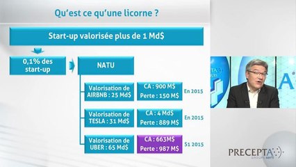 Netflix, Air B&B, Tesla, Uber - licornes ou animaux mythiques -174