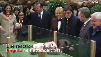 GALA VIDÉO - La rencontre tendue de Brigitte Macron et du bébé panda Yuan Meng