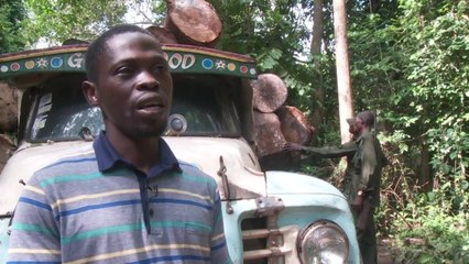 Les éléphants de Lagos, secret bien gardé du Nigeria