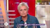 GALA VIDEO - Muriel Robin dans le rôle de Jacqueline Sauvage : 