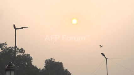 "État d'urgence sanitaire": New Delhi suffoque sous un pic de pollution