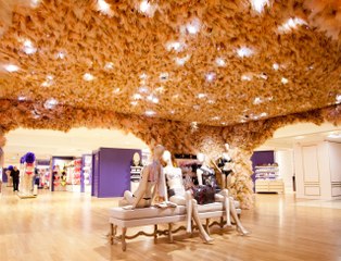 stella cadente galeries lafayette