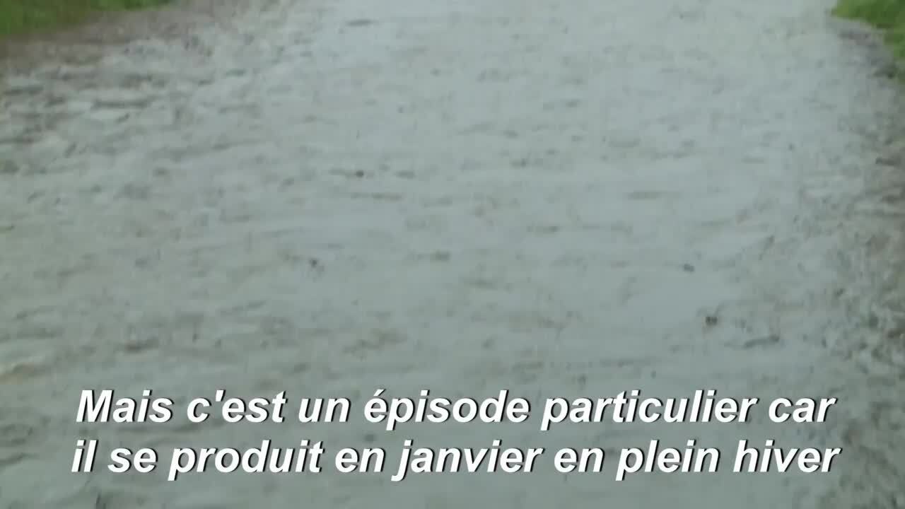 Tempête "Gloria": le sud-ouest sous la menace d'inondations