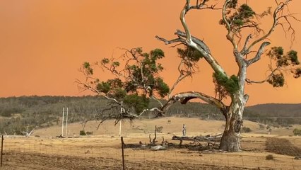 Incendies en Australie: des dizaines de milliers d'évacuations dans des villes du sud-est