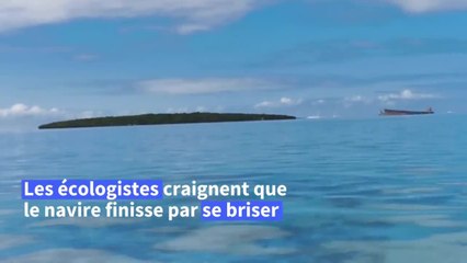 Maurice: la population se mobilise contre la menace de marée noire