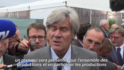 Le Foll va annoncer un plan pour les filières agricoles