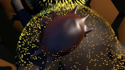 Les néonicotinoïdes désormais interdits dans l'agriculture