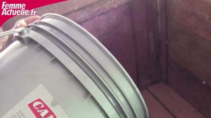 Voyage au Pérou, sur la route du cacao