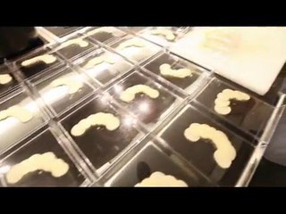 En cuisine avec Eric Guérin et Elisabeth Buffet