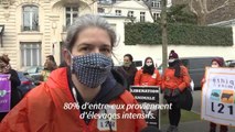 L'Assemblée nationale au chevet des animaux, 