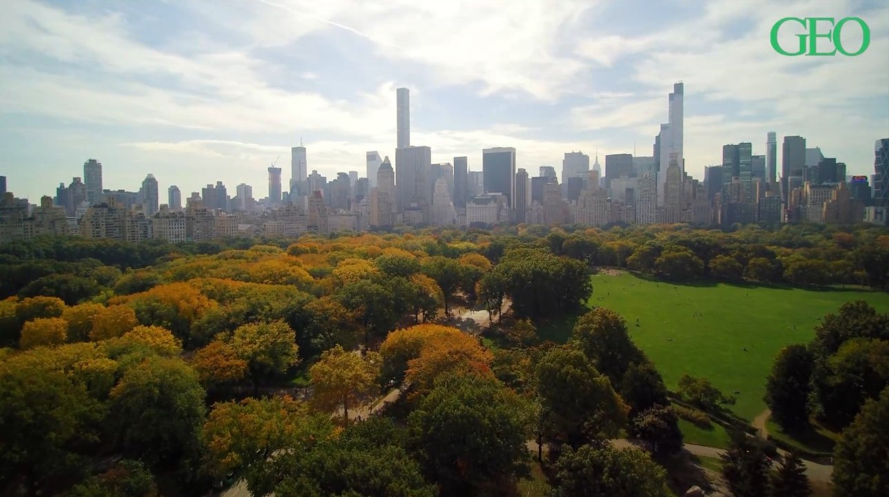 Augmenter la dose de nature pourrait améliorer la santé mentale pendant la pandémie de Covid-19