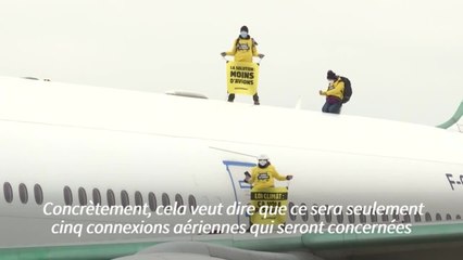 Avion repeint en vert à Roissy: neuf activistes de Greenpeace convoqués au tribunal