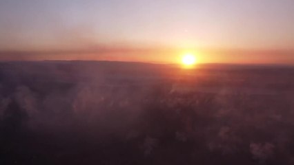 Nuit de gel catastrophique pour les arboriculteurs de la vallée du Rhône