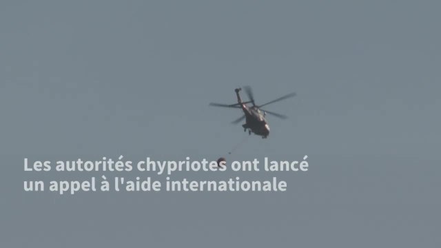 Quatre morts dans un incendie de forêt à Chypre, le pire depuis des décennies