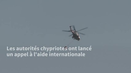 Quatre morts dans un incendie de forêt à Chypre, le pire depuis des décennies