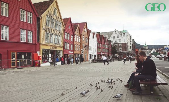 Nourrir les oiseaux sauvages est mauvais pour eux... Voici pourquoi